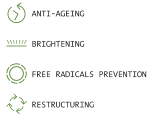 bioc Innoaesthetics
